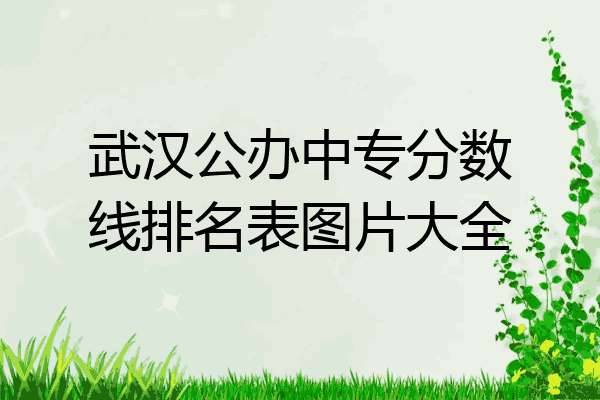 武汉公办中专分数线排名表图片大全