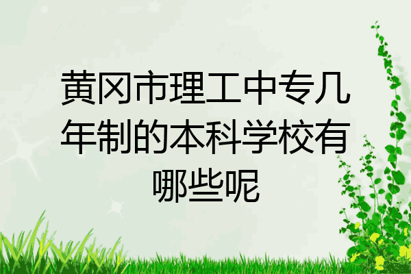 黄冈市理工中专几年制的本科学校有哪些呢