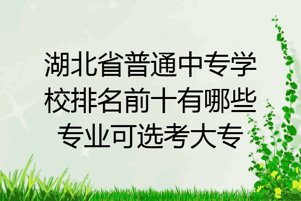 湖北省普通中专学校排名前十有哪些专业可选考大专