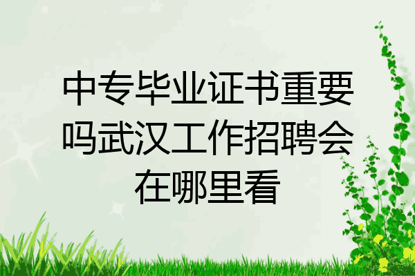 中专毕业证书重要吗武汉工作招聘会在哪里看