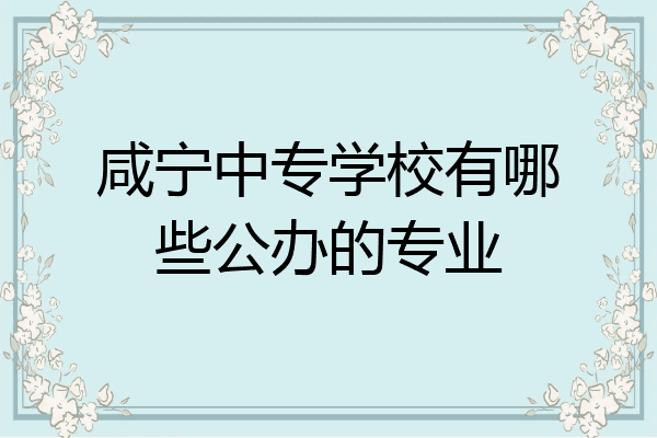 咸宁中专学校有哪些公办的专业