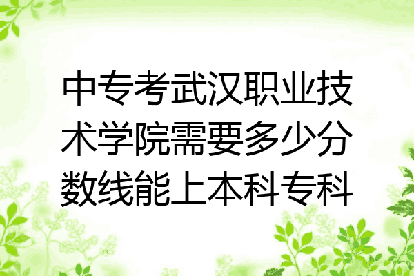 中专考武汉职业技术学院需要多少分数线能上本科专科