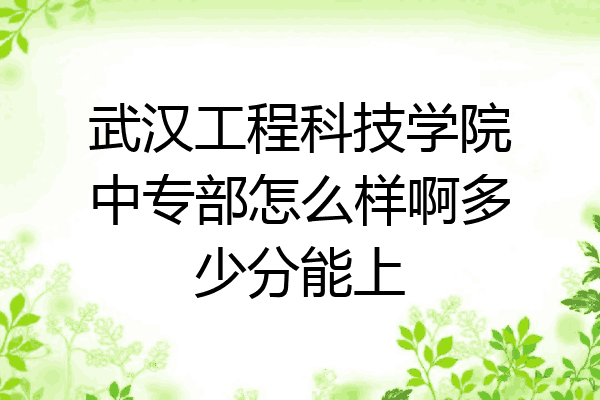 武汉工程科技学院中专部怎么样啊多少分能上