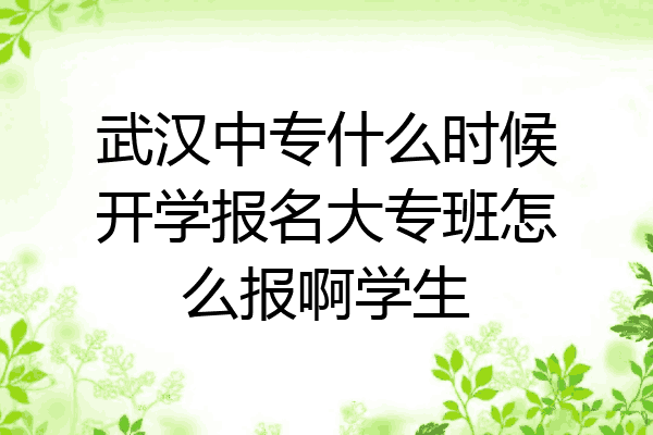 武汉中专什么时候开学报名大专班怎么报啊学生