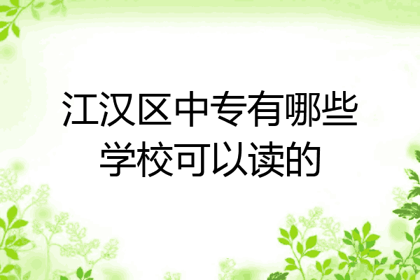 江汉区中专有哪些学校可以读的
