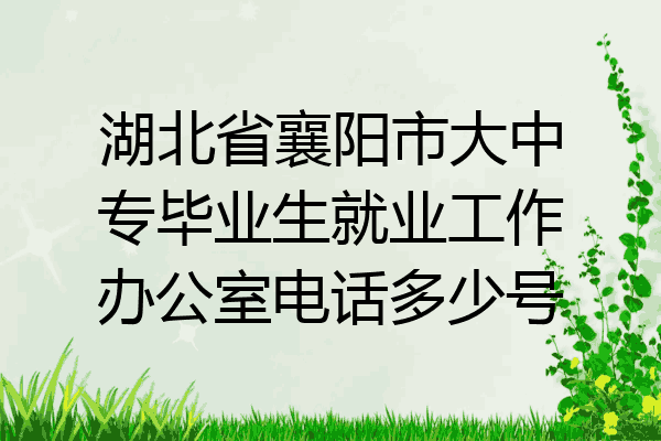 湖北省襄阳市大中专毕业生就业工作办公室电话多少号