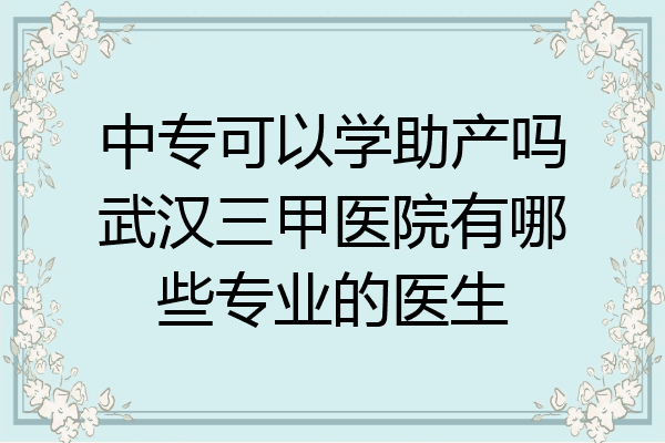 中专可以学助产吗武汉三甲医院有哪些专业的医生