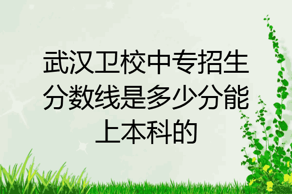 武汉卫校中专招生分数线是多少分能上本科的