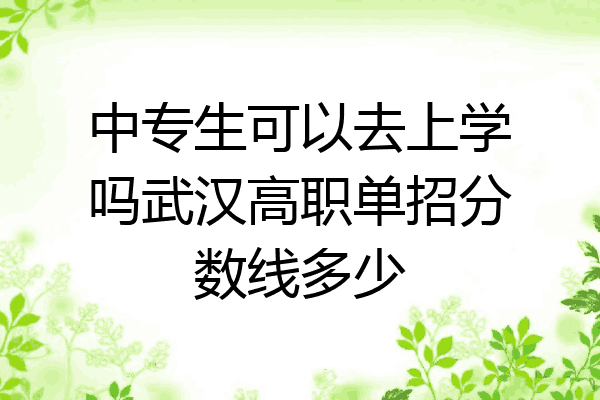中专生可以去上学吗武汉高职单招分数线多少