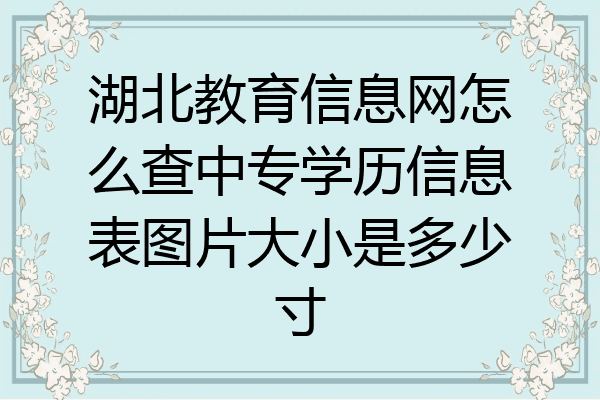 湖北教育信息网怎么查中专学历信息表图片大小是多少寸
