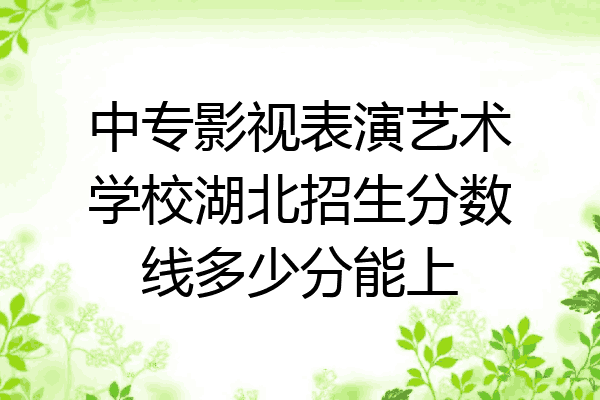 中专影视表演艺术学校湖北招生分数线多少分能上