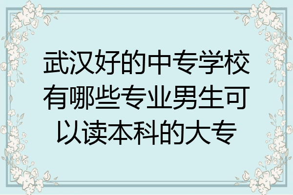 武汉好的中专学校有哪些专业男生可以读本科的大专