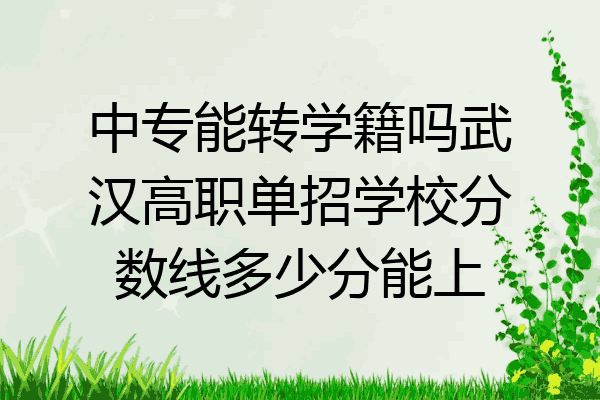 中专能转学籍吗武汉高职单招学校分数线多少分能上