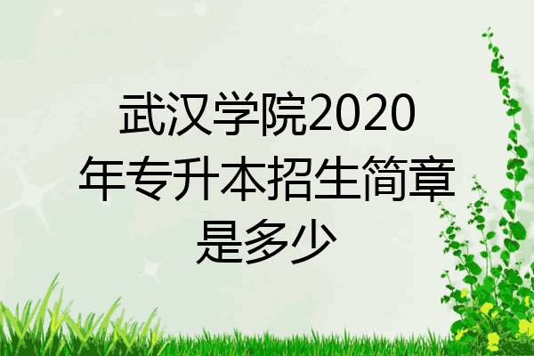 武汉学院2020年专升本招生简章是多少