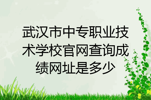 武汉市中专职业技术学校官网查询成绩网址是多少