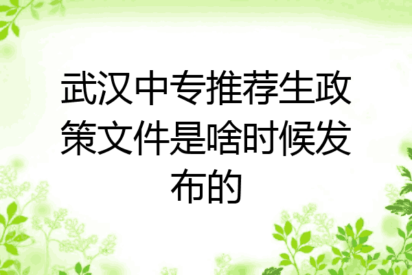 武汉中专推荐生政策文件是啥时候发布的