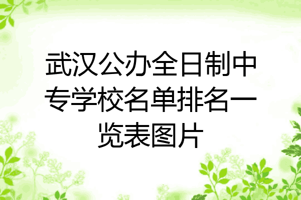 武汉公办全日制中专学校名单排名一览表图片
