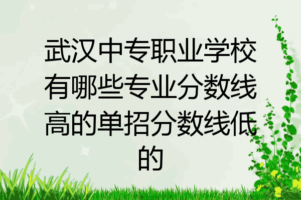 武汉中专职业学校有哪些专业分数线高的单招分数线低的