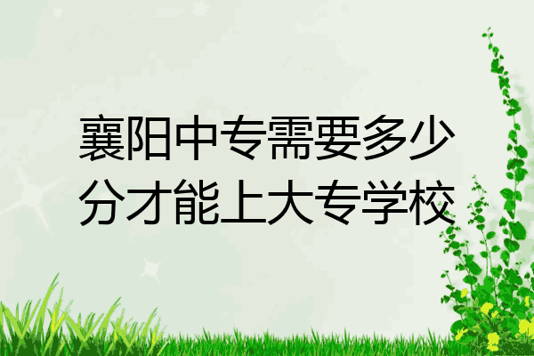 襄阳中专需要多少分才能上大专学校
