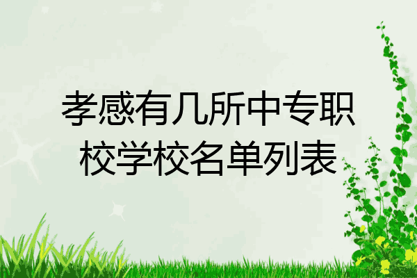 孝感有几所中专职校学校名单列表