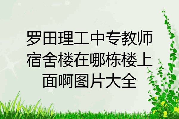 罗田理工中专教师宿舍楼在哪栋楼上面啊图片大全