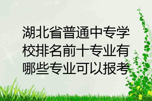 湖北省普通中专学校排名前十专业有哪些专业可以报考