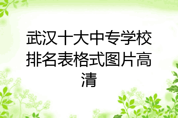 武汉十大中专学校排名表格式图片高清