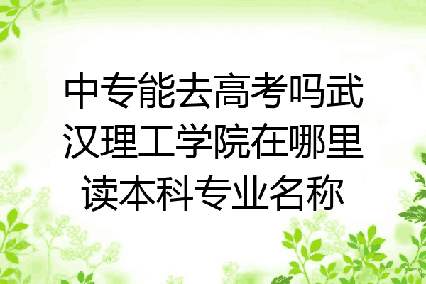 中专能去高考吗武汉理工学院在哪里读本科专业名称