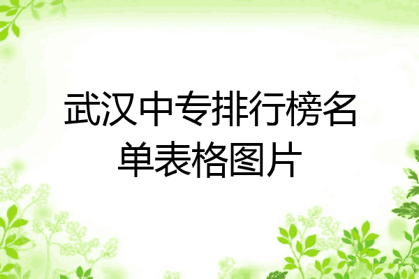 武汉中专排行榜名单表格图片