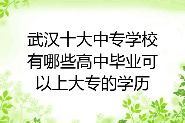 武汉十大中专学校有哪些高中毕业可以上大专的学历