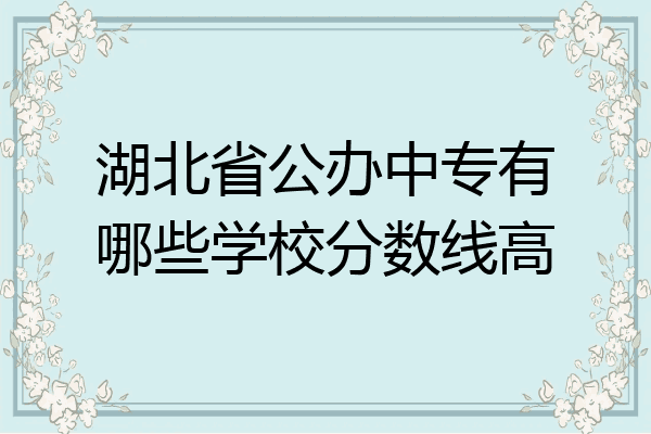 湖北省公办中专有哪些学校分数线高