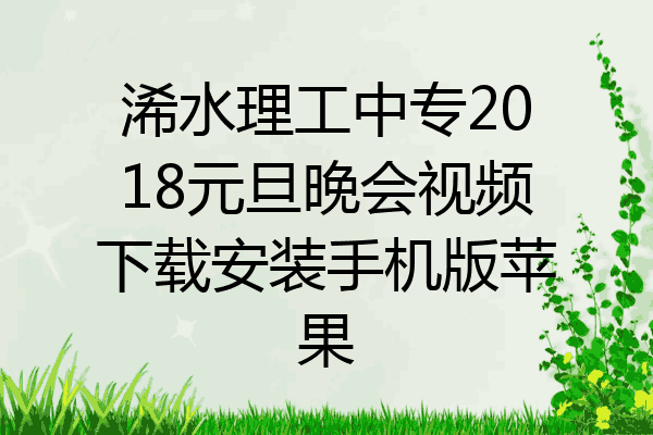 浠水理工中专2018元旦晚会视频下载安装手机版苹果