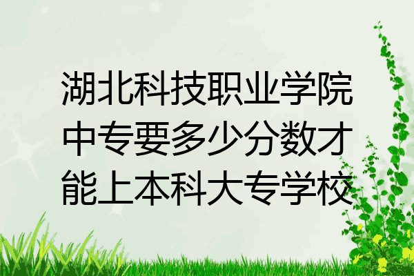 湖北科技职业学院中专要多少分数才能上本科大专学校