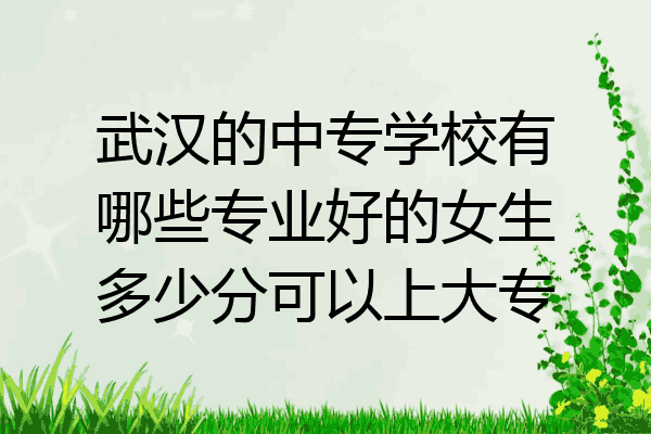 武汉的中专学校有哪些专业好的女生多少分可以上大专