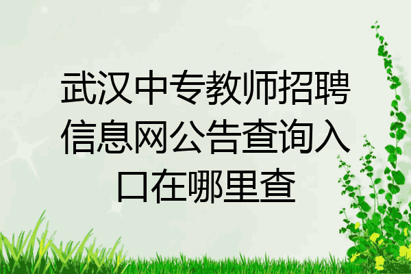 武汉中专教师招聘信息网公告查询入口在哪里查