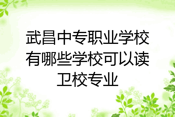 武昌中专职业学校有哪些学校可以读卫校专业
