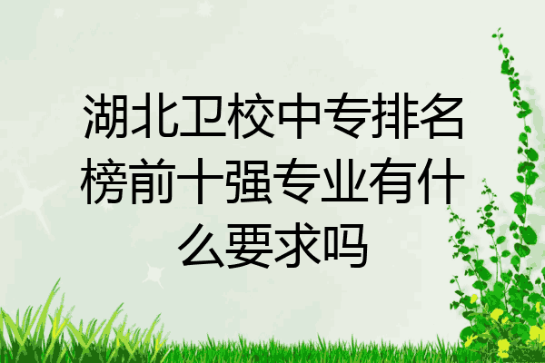 湖北卫校中专排名榜前十强专业有什么要求吗