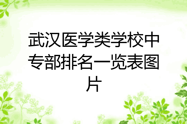 武汉医学类学校中专部排名一览表图片