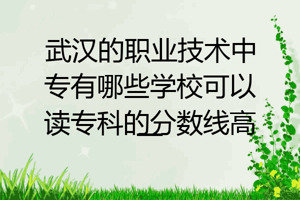 武汉的职业技术中专有哪些学校可以读专科的分数线高一