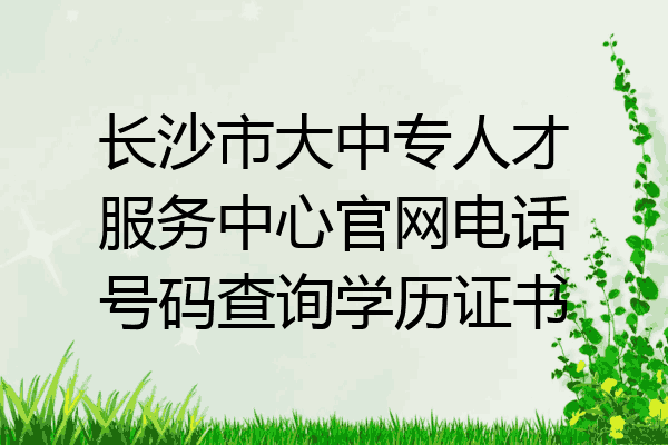 长沙市大中专人才服务中心官网电话号码查询学历证书