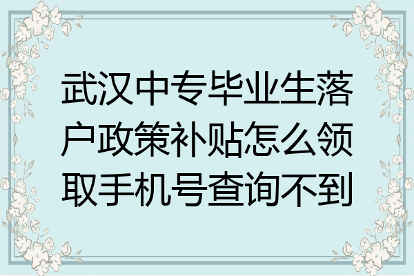 武汉中专毕业生落户政策补贴怎么领取手机号查询不到