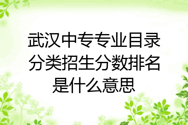 武汉中专专业目录分类招生分数排名是什么意思