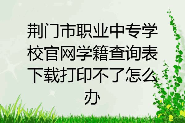 荆门市职业中专学校官网学籍查询表下载打印不了怎么办