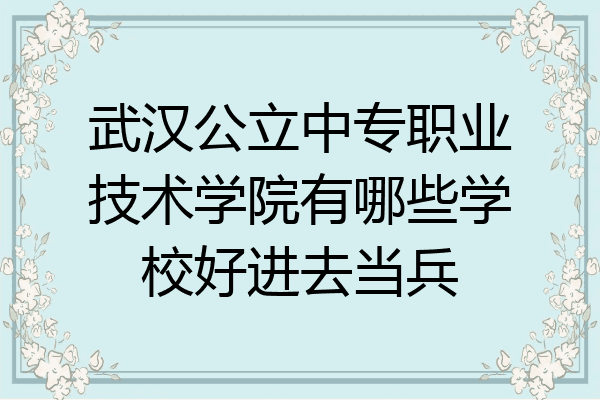 武汉公立中专职业技术学院有哪些学校好进去当兵