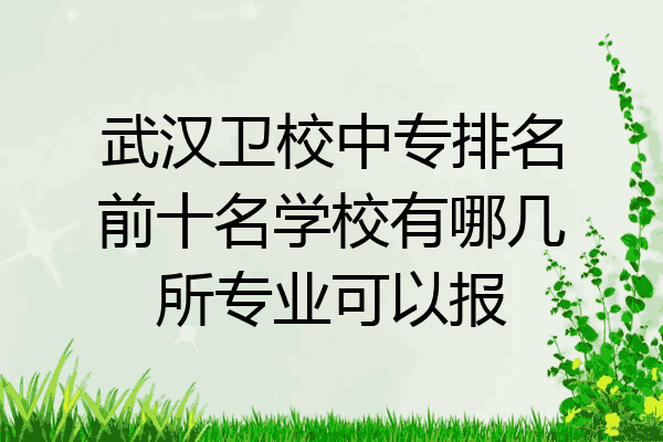武汉卫校中专排名前十名学校有哪几所专业可以报