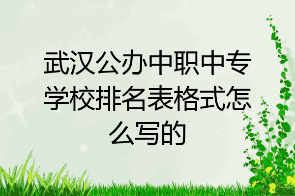 武汉公办中职中专学校排名表格式怎么写的