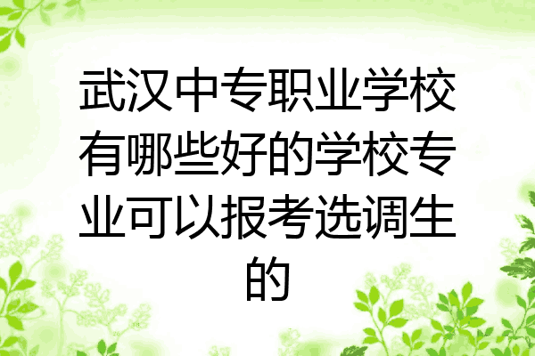 武汉中专职业学校有哪些好的学校专业可以报考选调生的