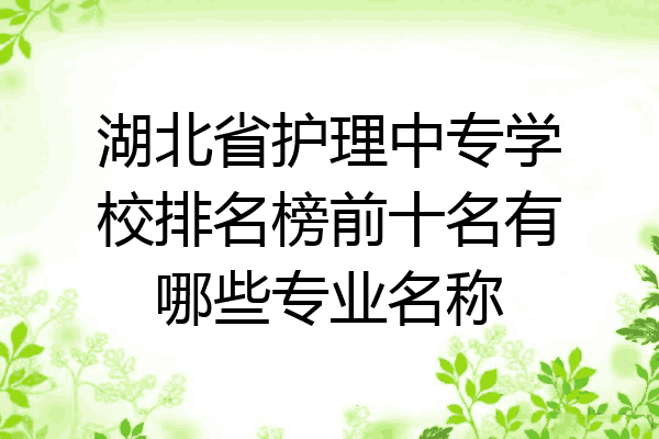湖北省护理中专学校排名榜前十名有哪些专业名称