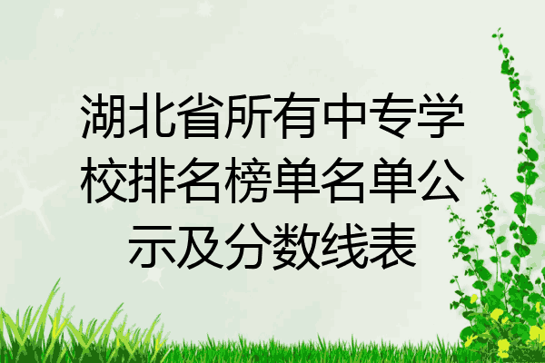 湖北省所有中专学校排名榜单名单公示及分数线表
