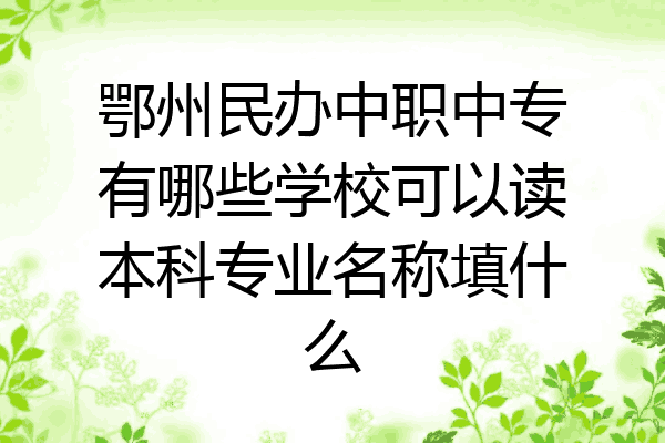 鄂州民办中职中专有哪些学校可以读本科专业名称填什么